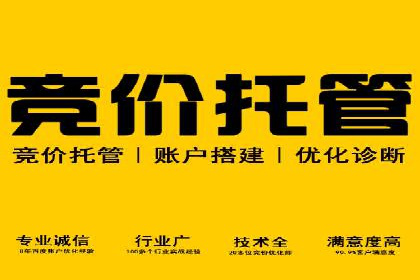 百度竞价代运营公司成功案例揭秘：策略与执行